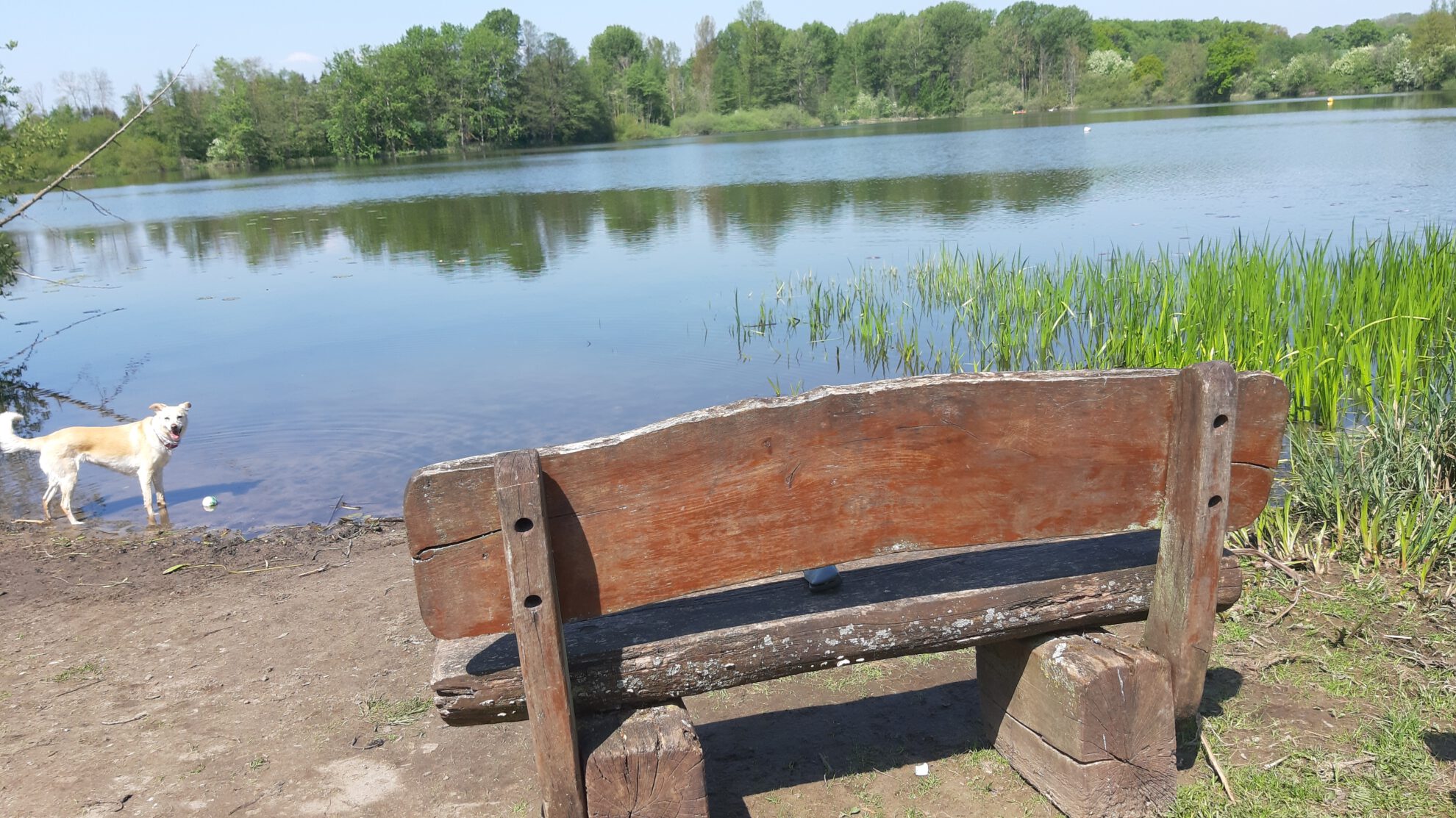 Naturfreibad Poggensee SPOKUSA e.V. Bad Oldesloe Sport Kultur
